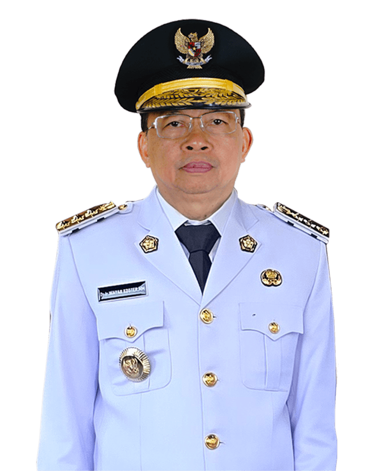 Portrait of I Wayan Koster